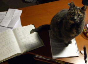 SAT Prep Cat