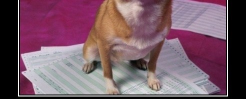 How do you grade an SAT practice test?